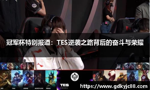 vwin德赢网页版