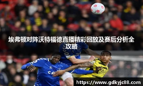 埃弗顿对阵沃特福德直播精彩回放及赛后分析全攻略